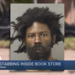 alleged homeless stabber mugshot